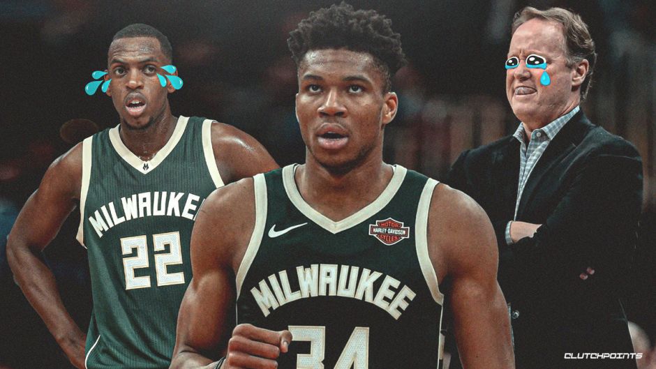 迷的关注 迷的关注